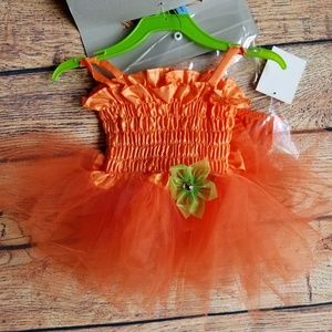 Infant Girls 3 Piece Pumpkin Costume 0-6 Months